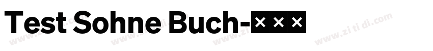 Test Sohne Buch字体转换